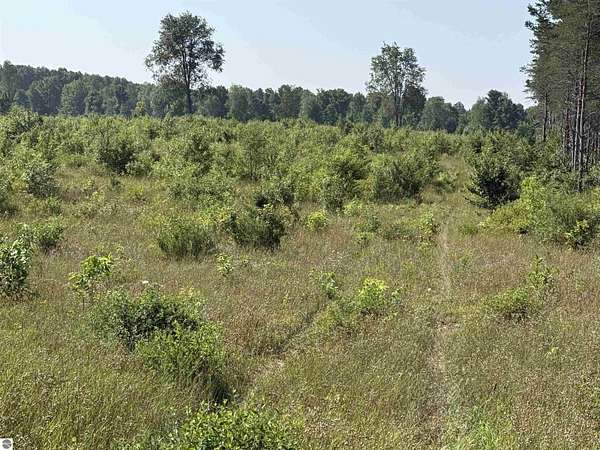 5 Acres of Residential Land for Sale in Maple City, Michigan