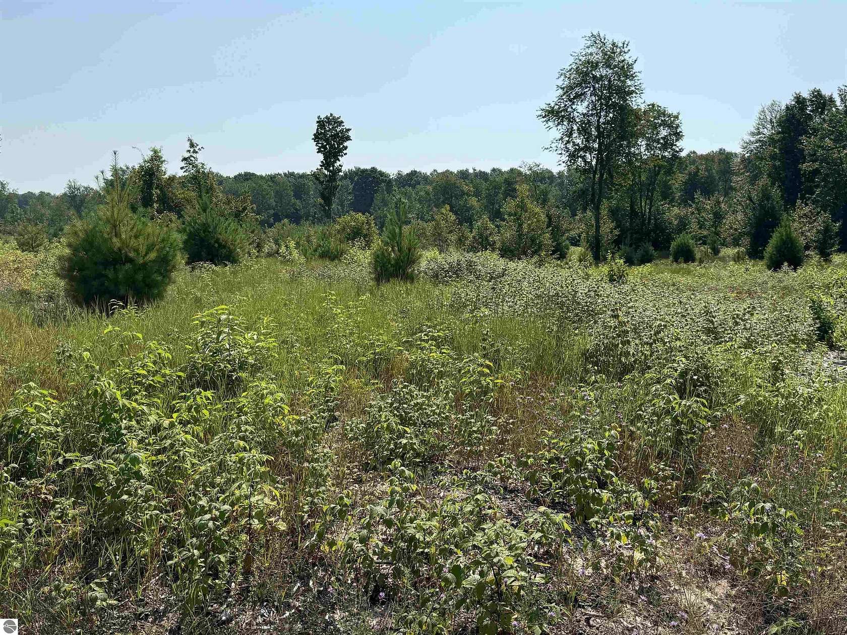 5 Acres of Residential Land for Sale in Maple City, Michigan