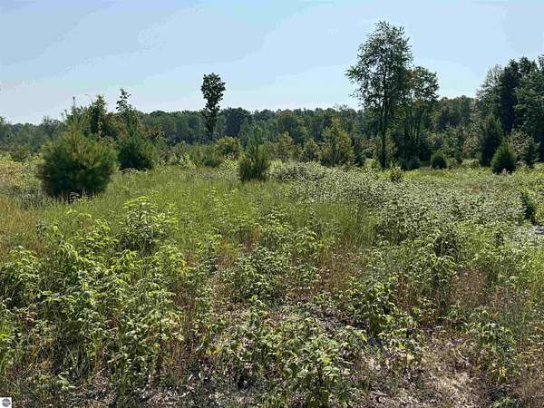 5 Acres of Residential Land for Sale in Maple City, Michigan