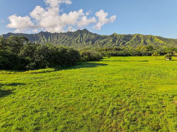 7.46 Acres of Residential Land for Sale in Kilauea, Hawaii