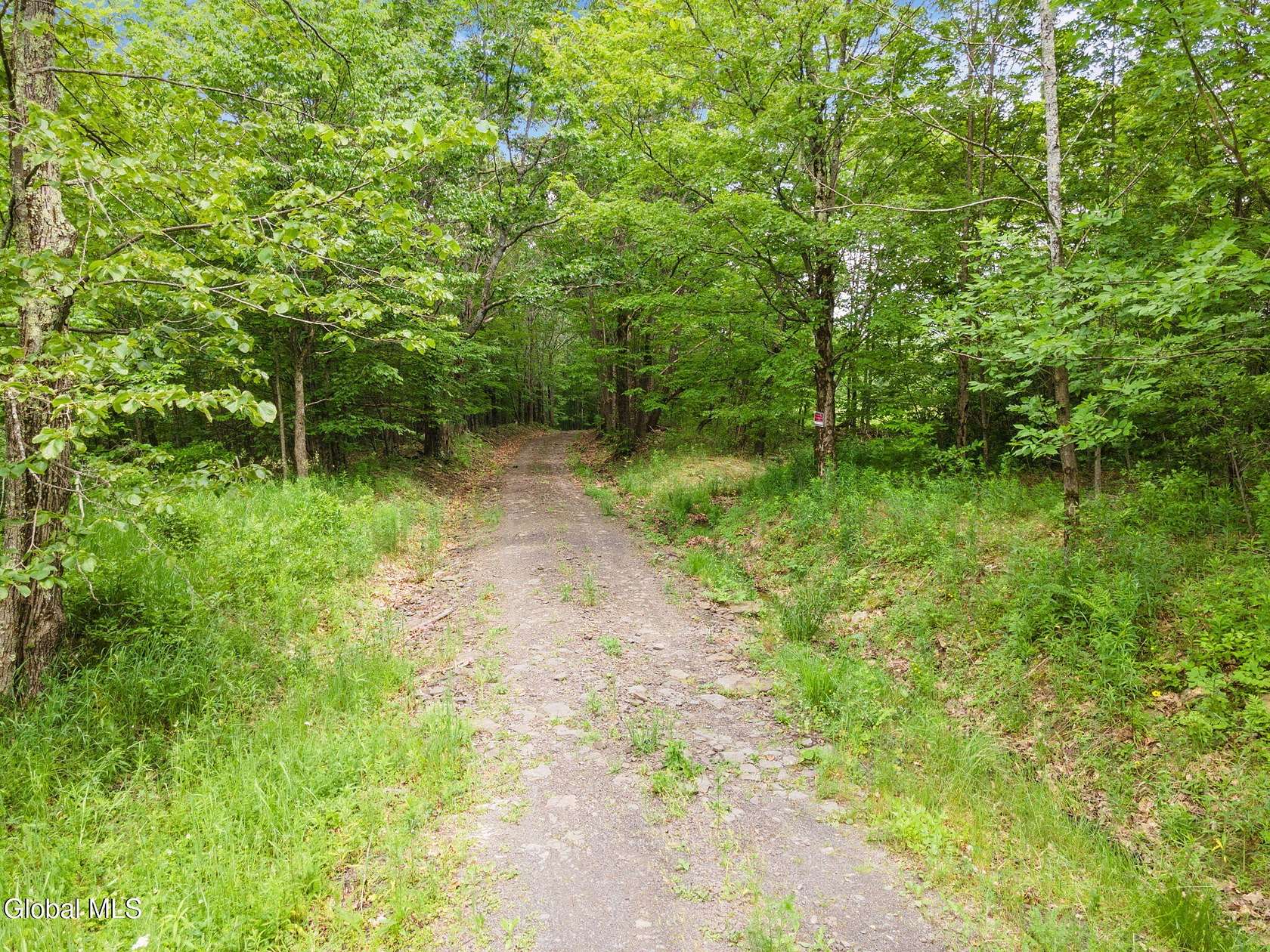 158 Acres of Recreational Land for Sale in Middleburgh, New York
