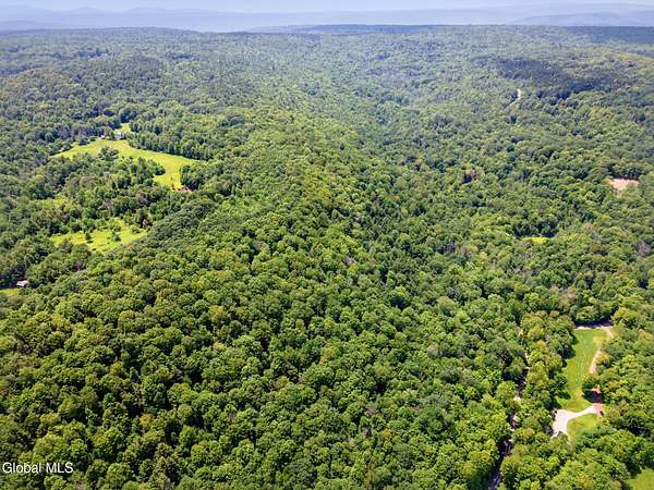 158 Acres of Recreational Land for Sale in Middleburgh, New York