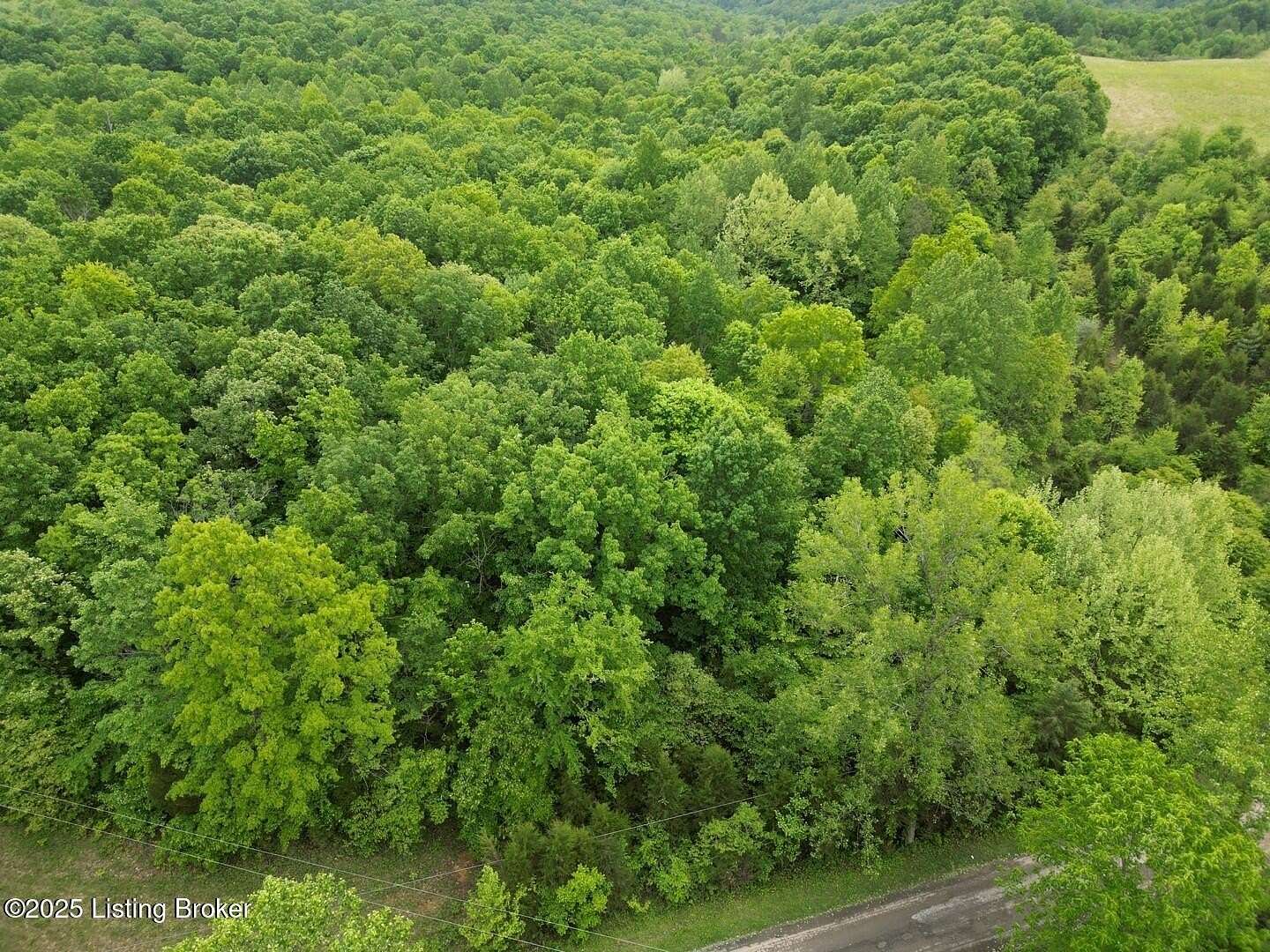 28.2 Acres of Land for Sale in Caneyville, Kentucky