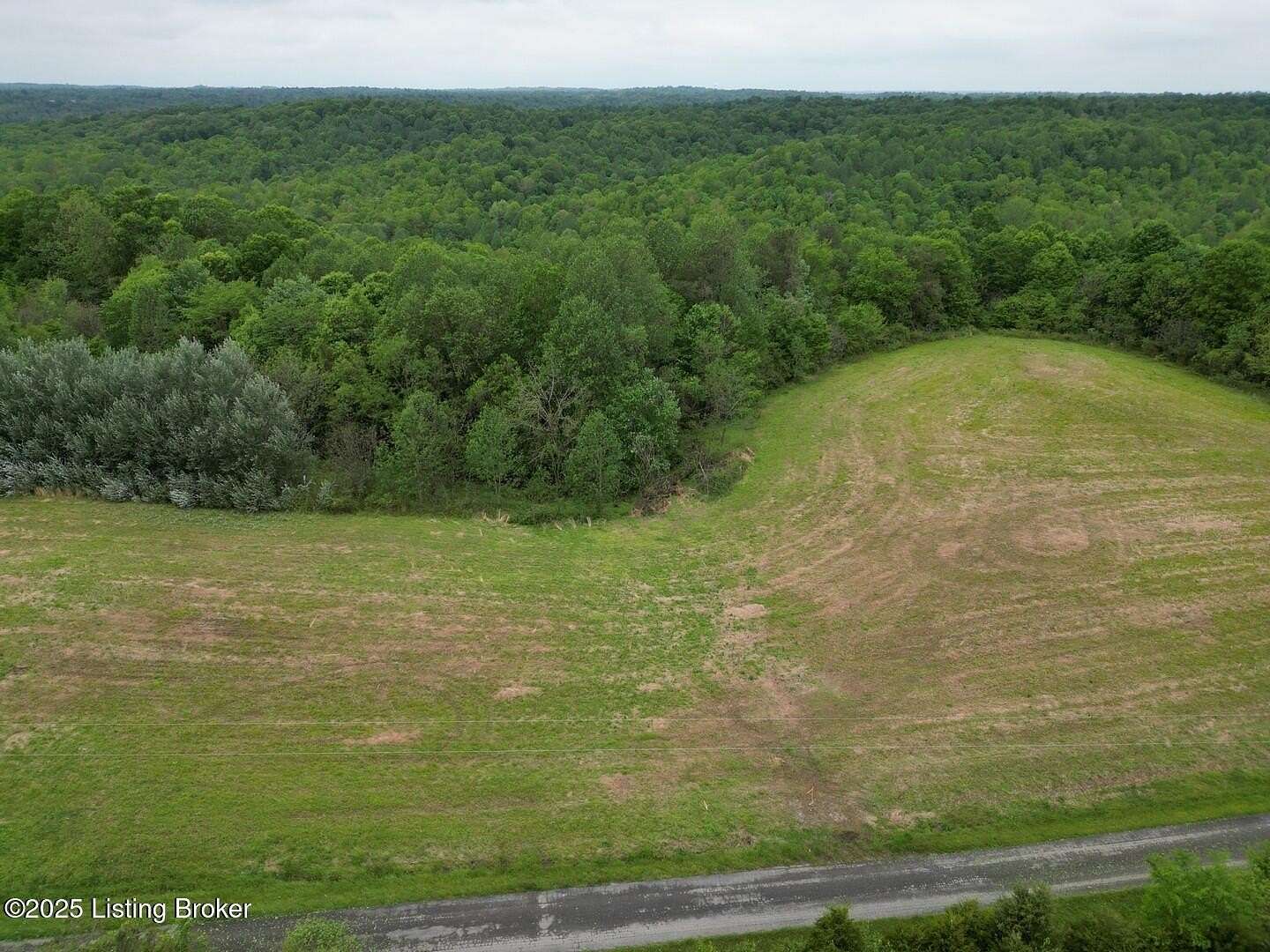 66.7 Acres of Recreational & Residential Land for Sale in Caneyville, Kentucky