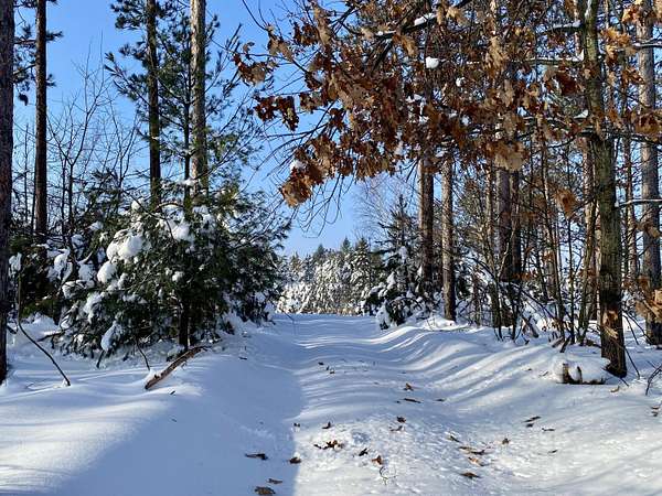 2.5 Acres of Residential Land for Sale in Gaylord, Michigan