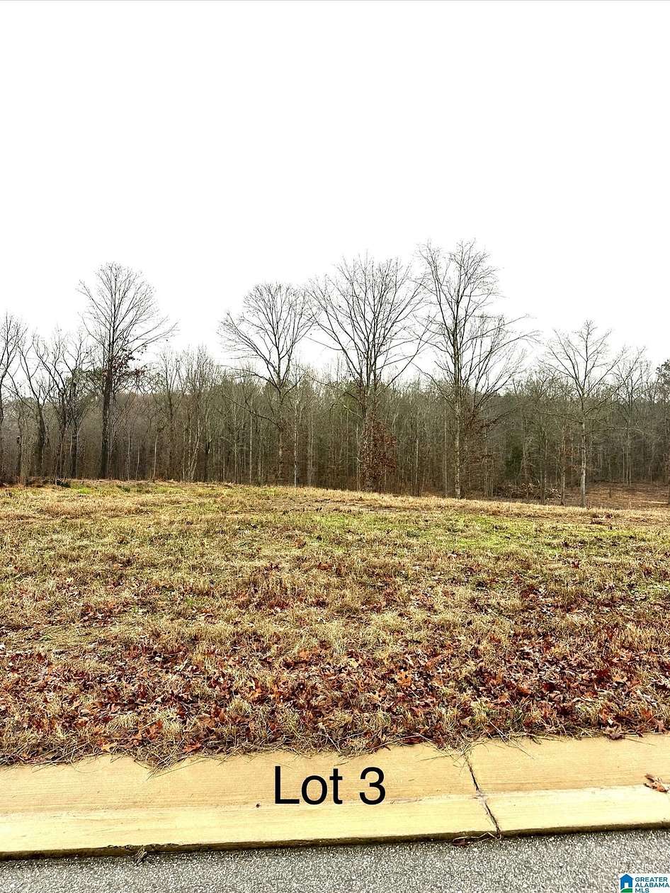 0.99 Acres of Residential Land for Sale in Woodstock, Alabama