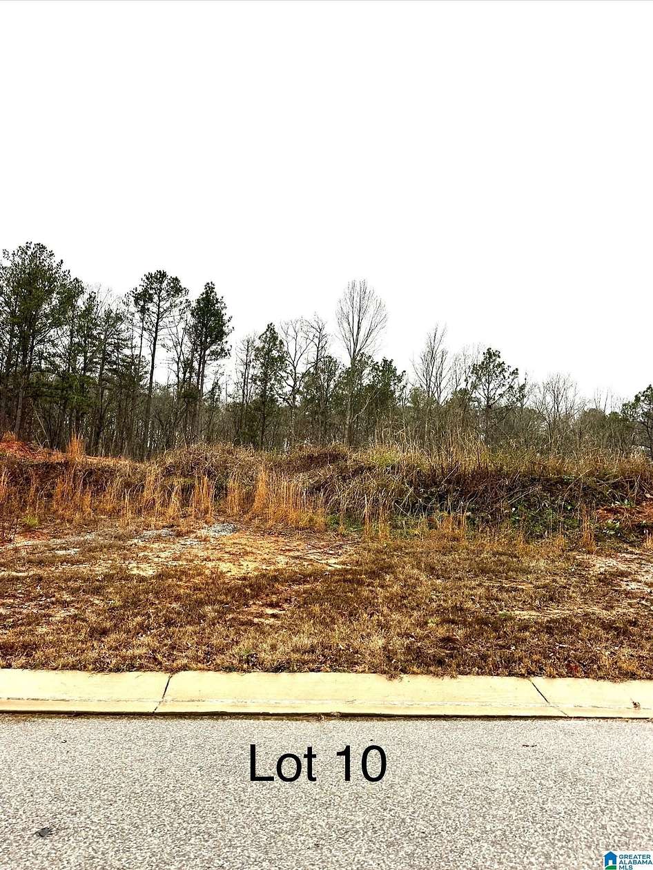 0.53 Acres of Residential Land for Sale in Woodstock, Alabama