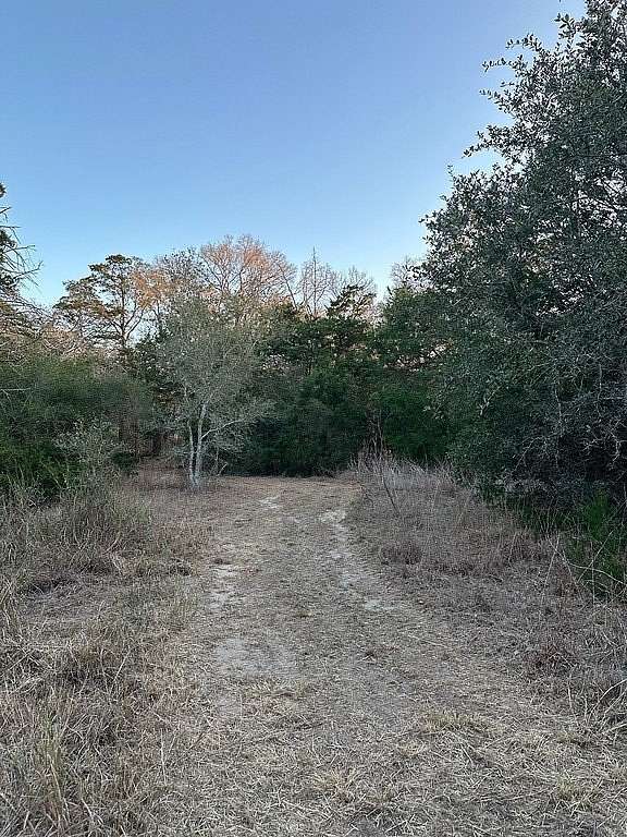 3.1 Acres of Land for Sale in Flatonia, Texas