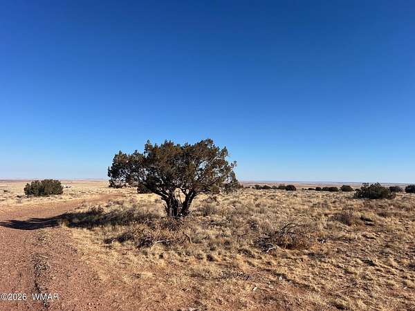 40.6 Acres of Land for Sale in Snowflake, Arizona