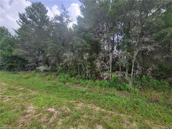 0.24 Acres of Residential Land for Sale in Lake Placid, Florida