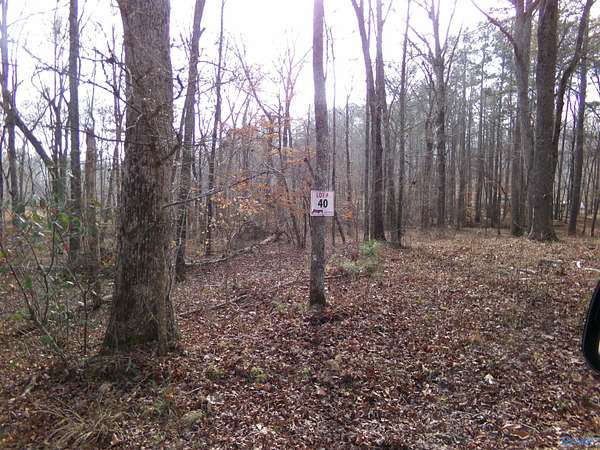0.14 Acres of Land for Sale in Cedar Bluff, Alabama