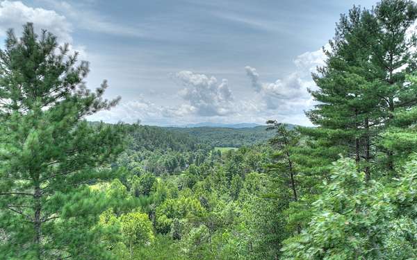 2 Acres of Residential Land for Sale in Morganton, Georgia