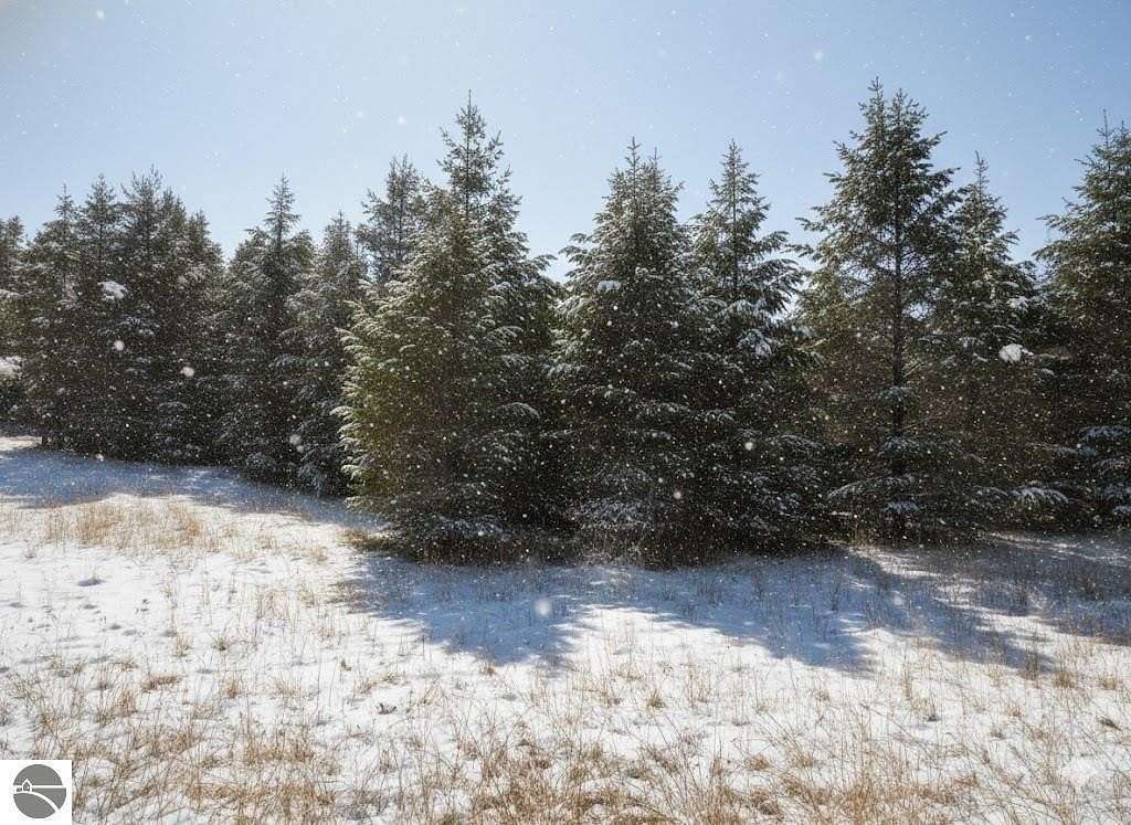 10.3 Acres of Land for Sale in Buckley, Michigan