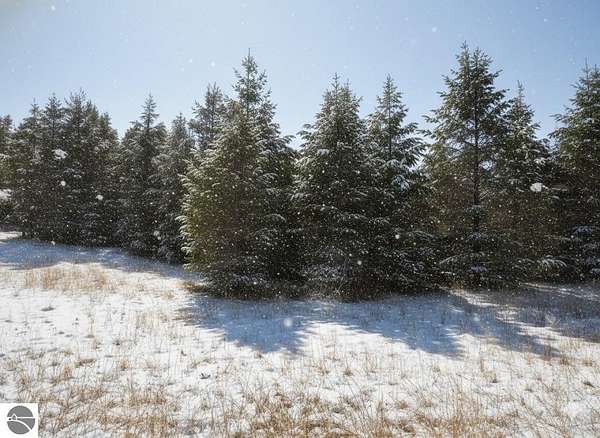 10.3 Acres of Land for Sale in Buckley, Michigan