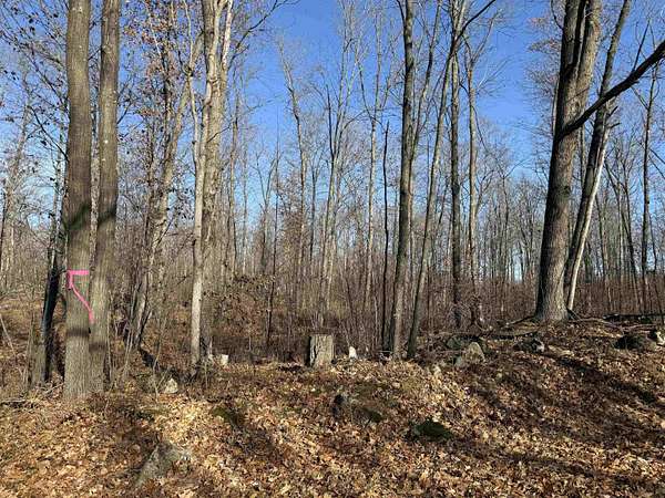 10 Acres of Recreational Land for Sale in Mosinee, Wisconsin