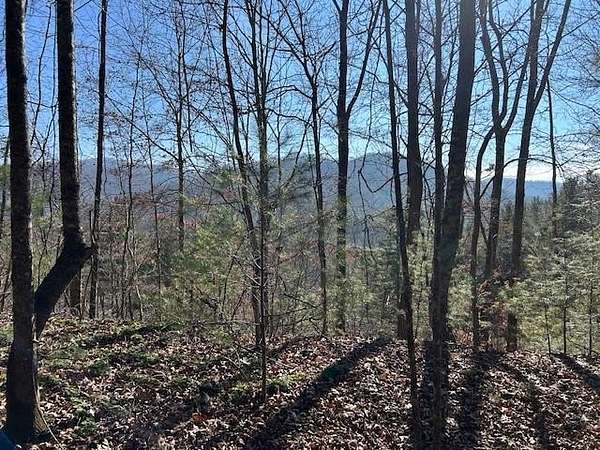 5.53 Acres of Land for Sale in Topton, North Carolina