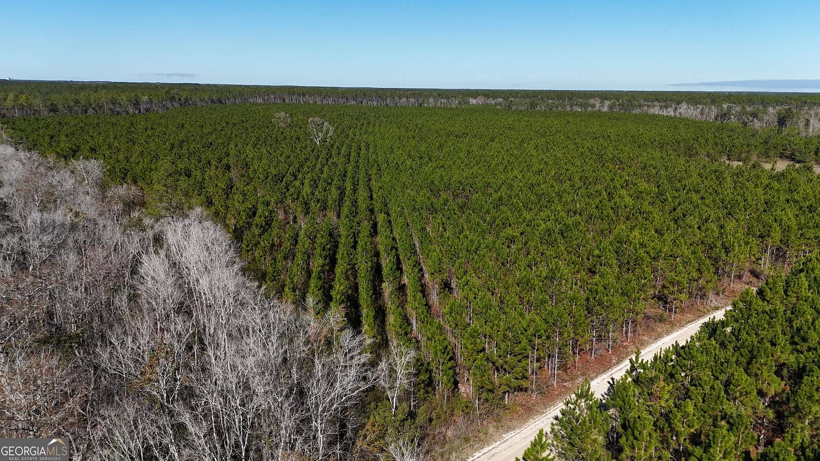 29 Acres of Recreational Land & Farm for Sale in Odum, Georgia