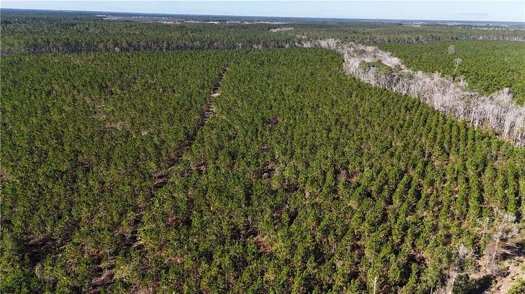 29 Acres of Land for Sale in Odum, Georgia