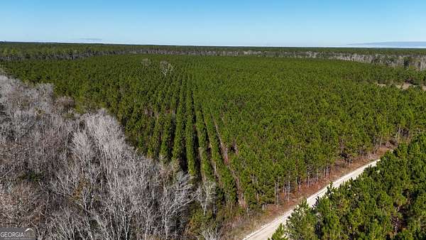 29 Acres of Recreational Land & Farm for Sale in Odum, Georgia