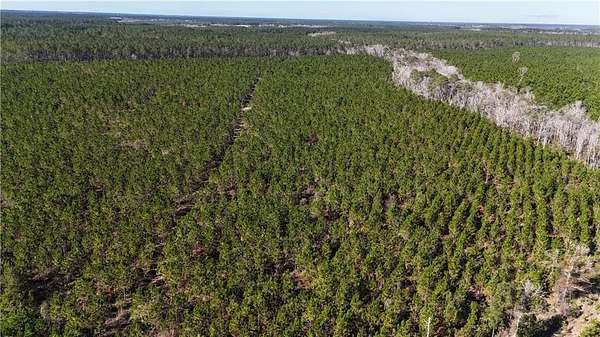 29 Acres of Land for Sale in Odum, Georgia