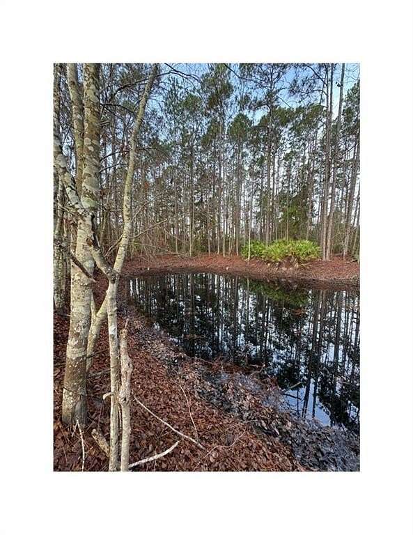 3 Acres of Residential Land for Sale in Jesup, Georgia