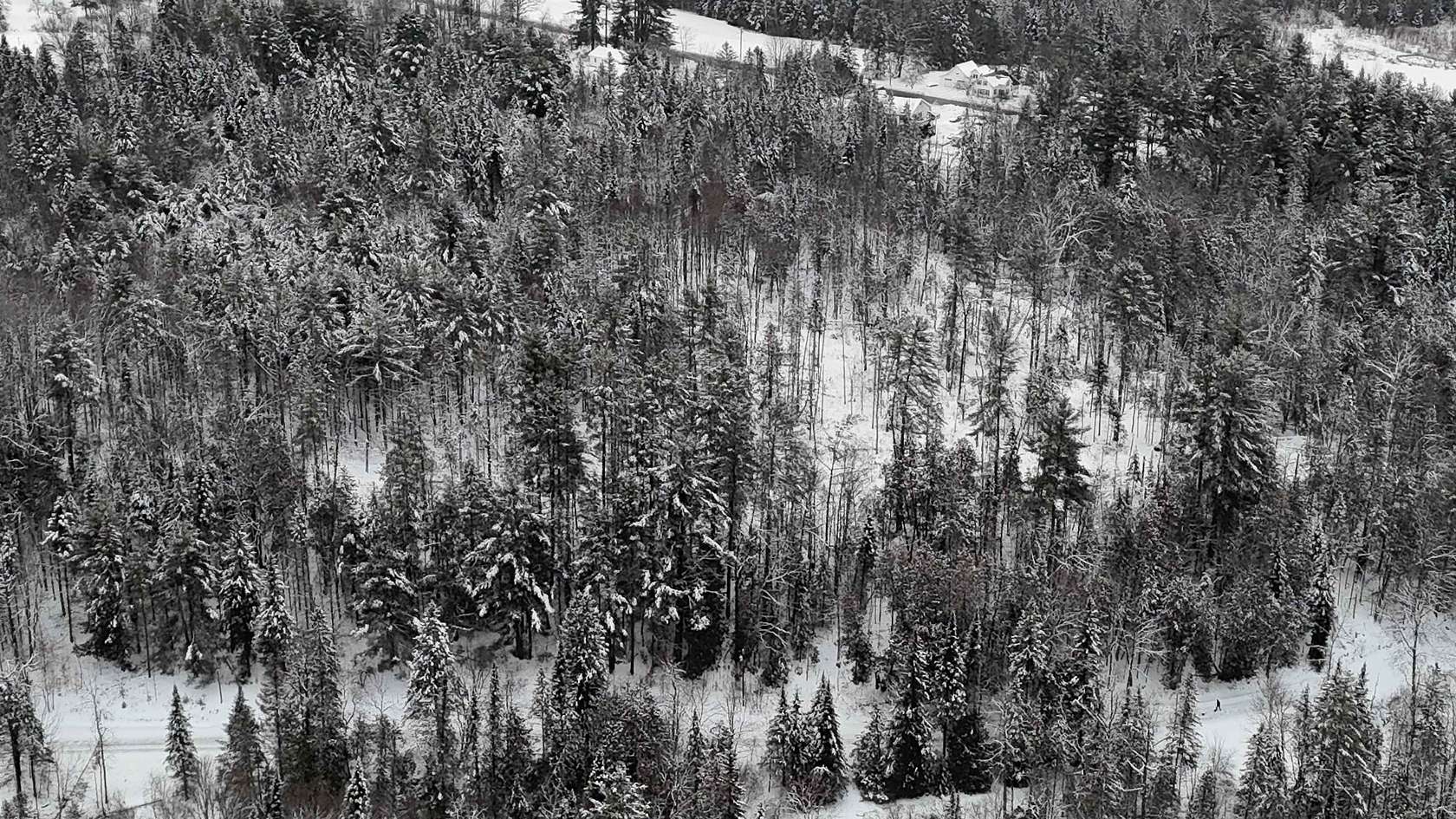 17.6 Acres of Recreational Land for Sale in Sutton, Vermont