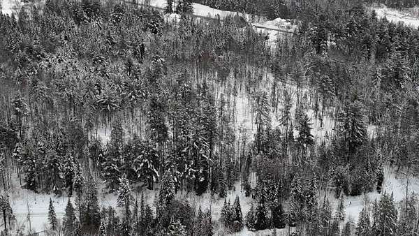 17.6 Acres of Recreational Land for Sale in Sutton, Vermont