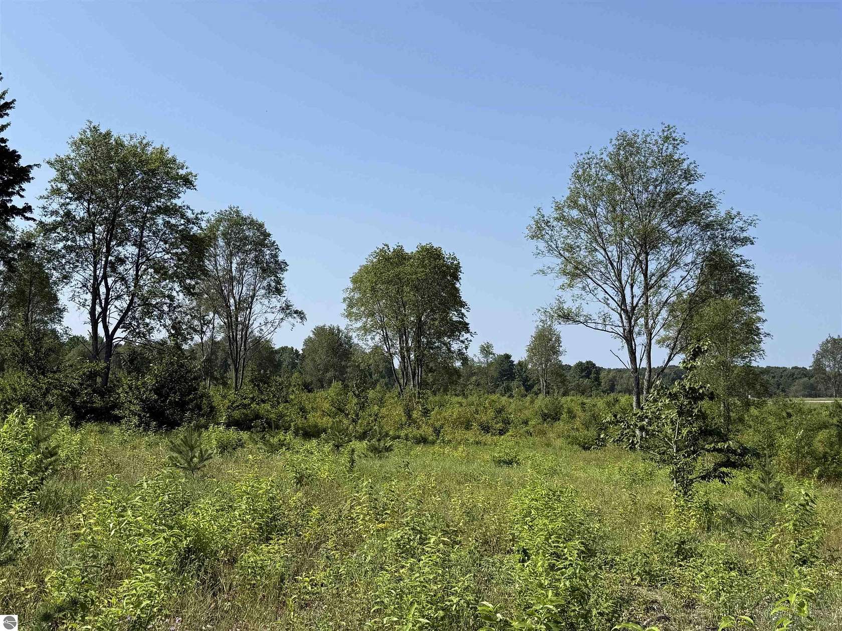 10 Acres of Land for Sale in Maple City, Michigan