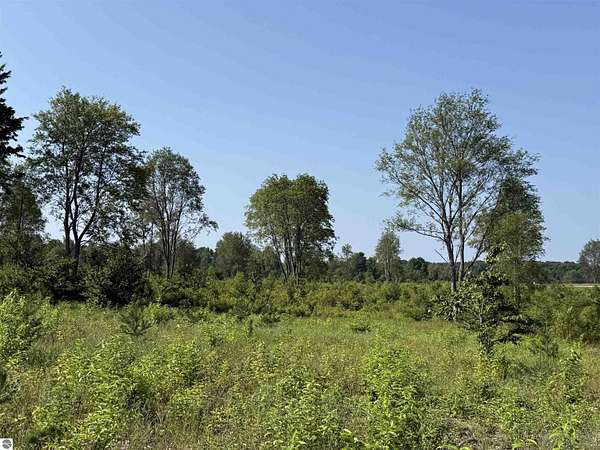 10 Acres of Land for Sale in Maple City, Michigan