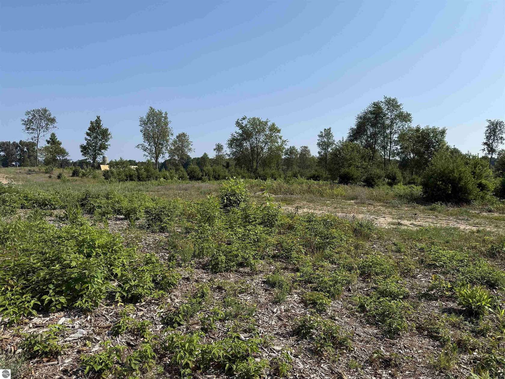 5 Acres of Residential Land for Sale in Maple City, Michigan