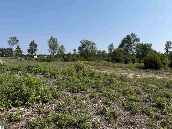 5 Acres of Residential Land for Sale in Maple City, Michigan