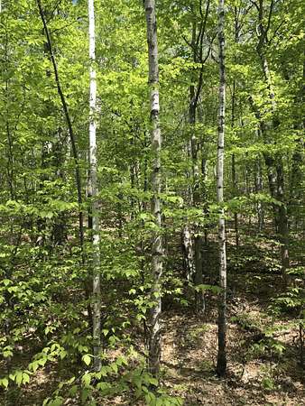 1 Acre of Residential Land for Sale in Campton Town, New Hampshire