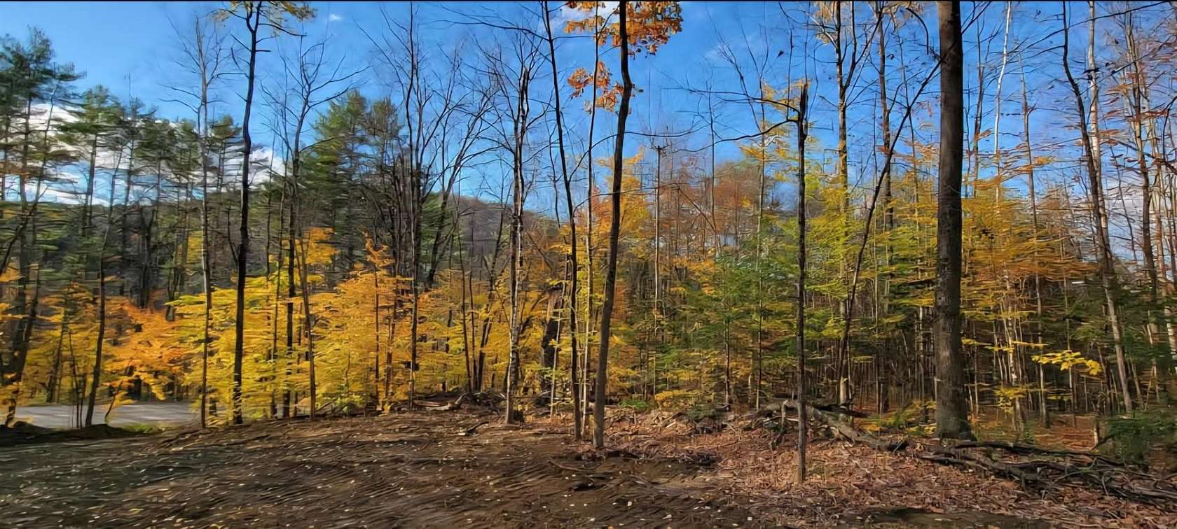 2.6 Acres of Land for Sale in Royalton, Vermont