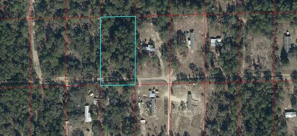 1.25 Acres of Residential Land for Sale in Bronson, Florida