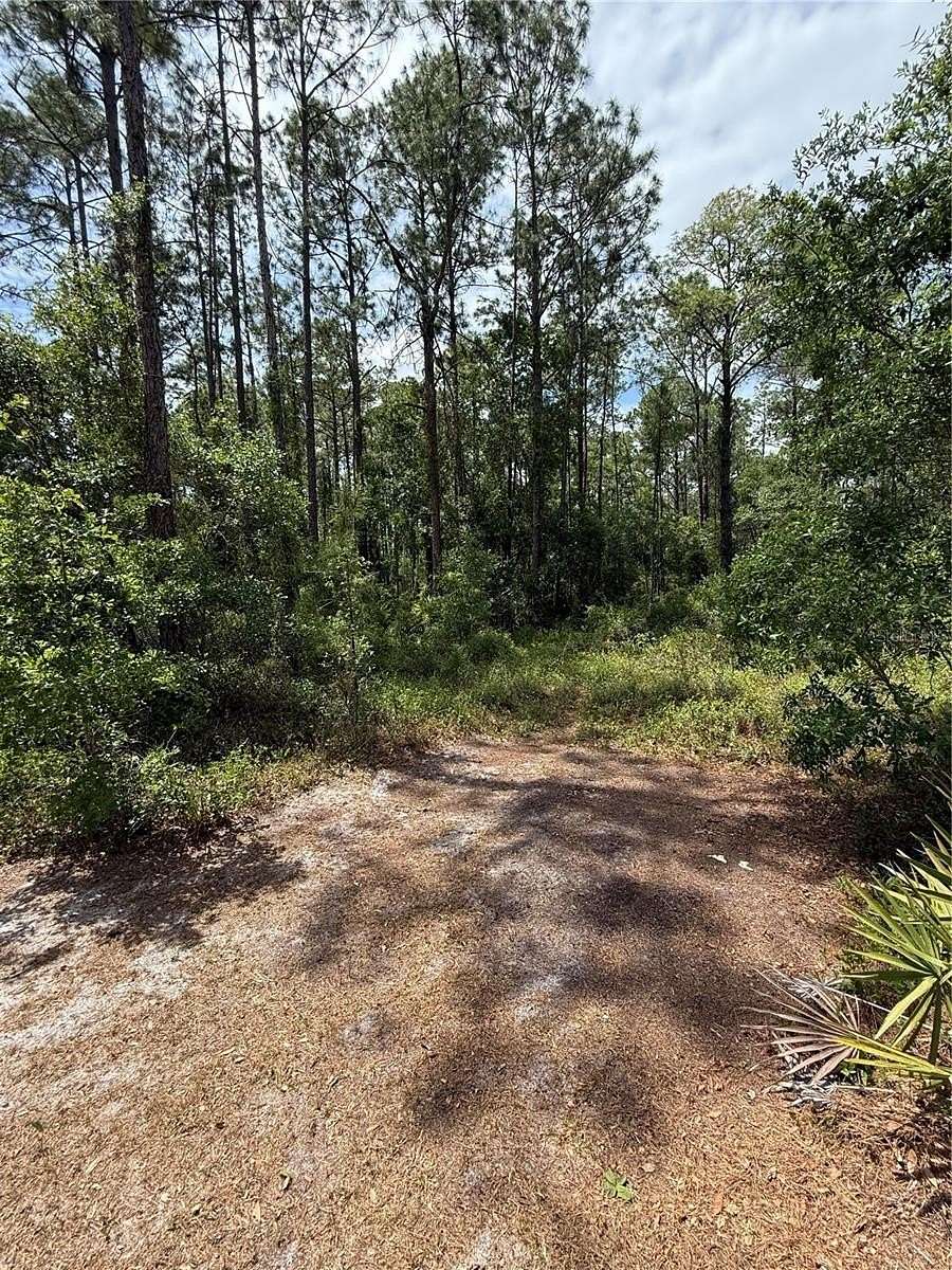 0.25 Acres of Residential Land for Sale in Fort McCoy, Florida