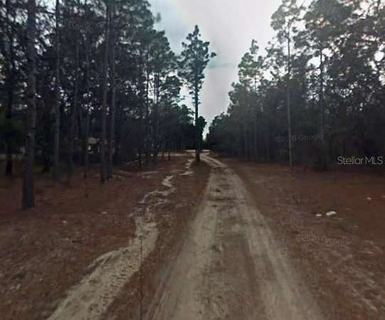 0.44 Acres of Residential Land for Sale in Inverness, Florida