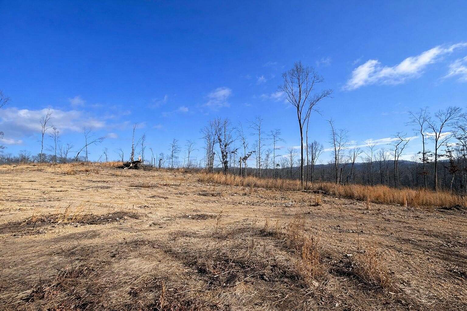 53.8 Acres of Land for Sale in Decatur, Tennessee