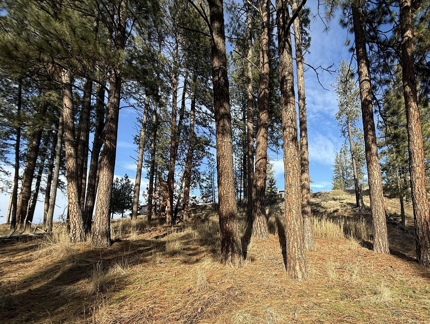 0.62 Acres of Land for Sale in Republic, Washington