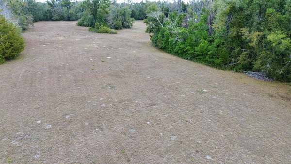 5 Acres of Residential Land for Sale in Perry, Florida