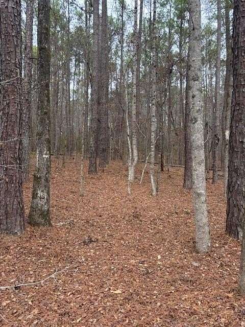 1 Acre of Residential Land for Sale in Waverly Hall, Georgia
