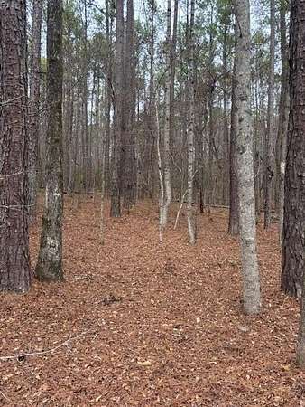 1 Acre of Residential Land for Sale in Waverly Hall, Georgia