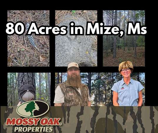80 Acres of Recreational Land for Sale in Mize, Mississippi
