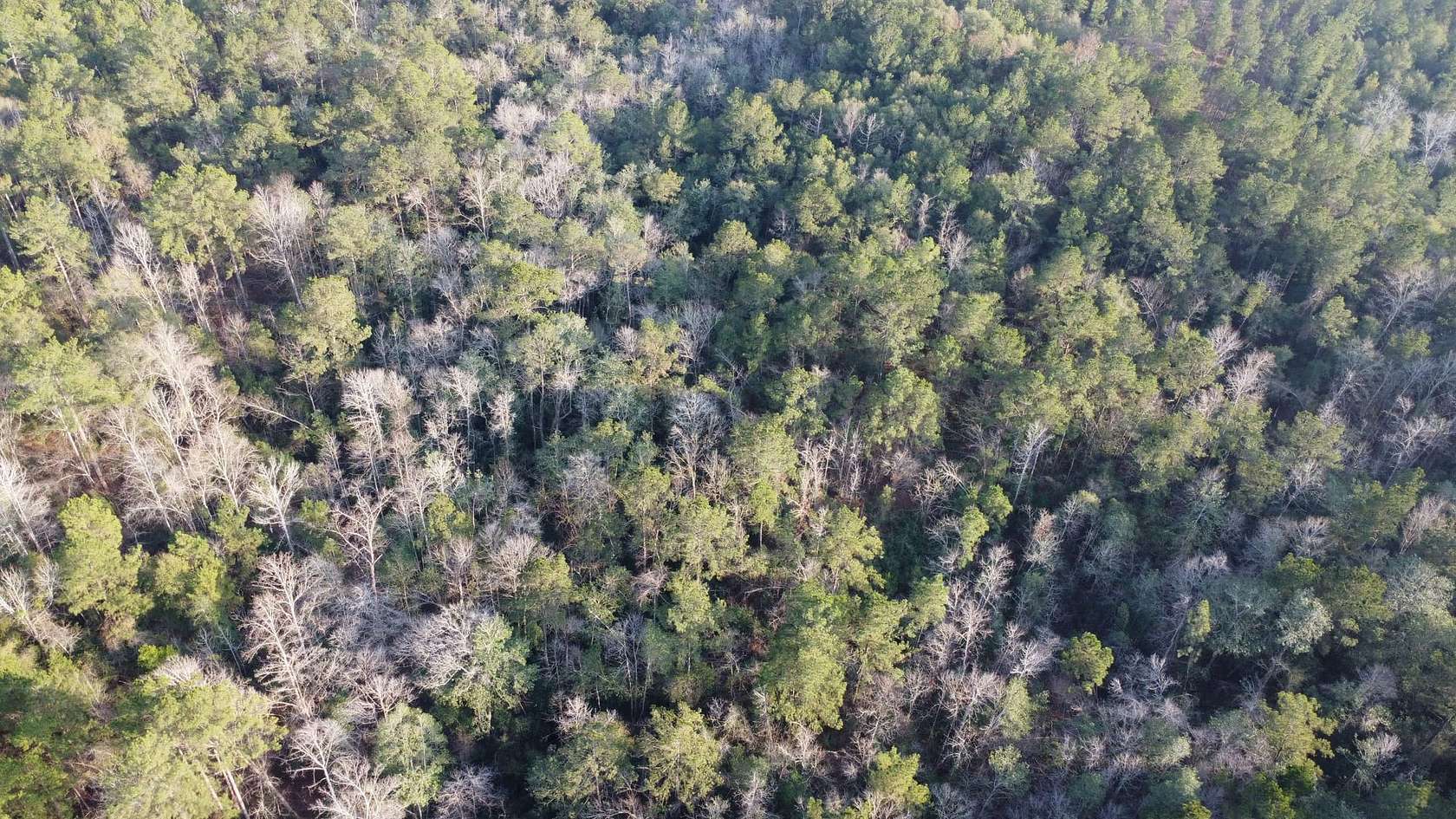 46 Acres of Recreational Land for Sale in Columbia, Mississippi