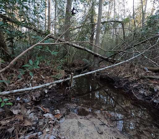 46 Acres of Recreational Land for Sale in Columbia, Mississippi