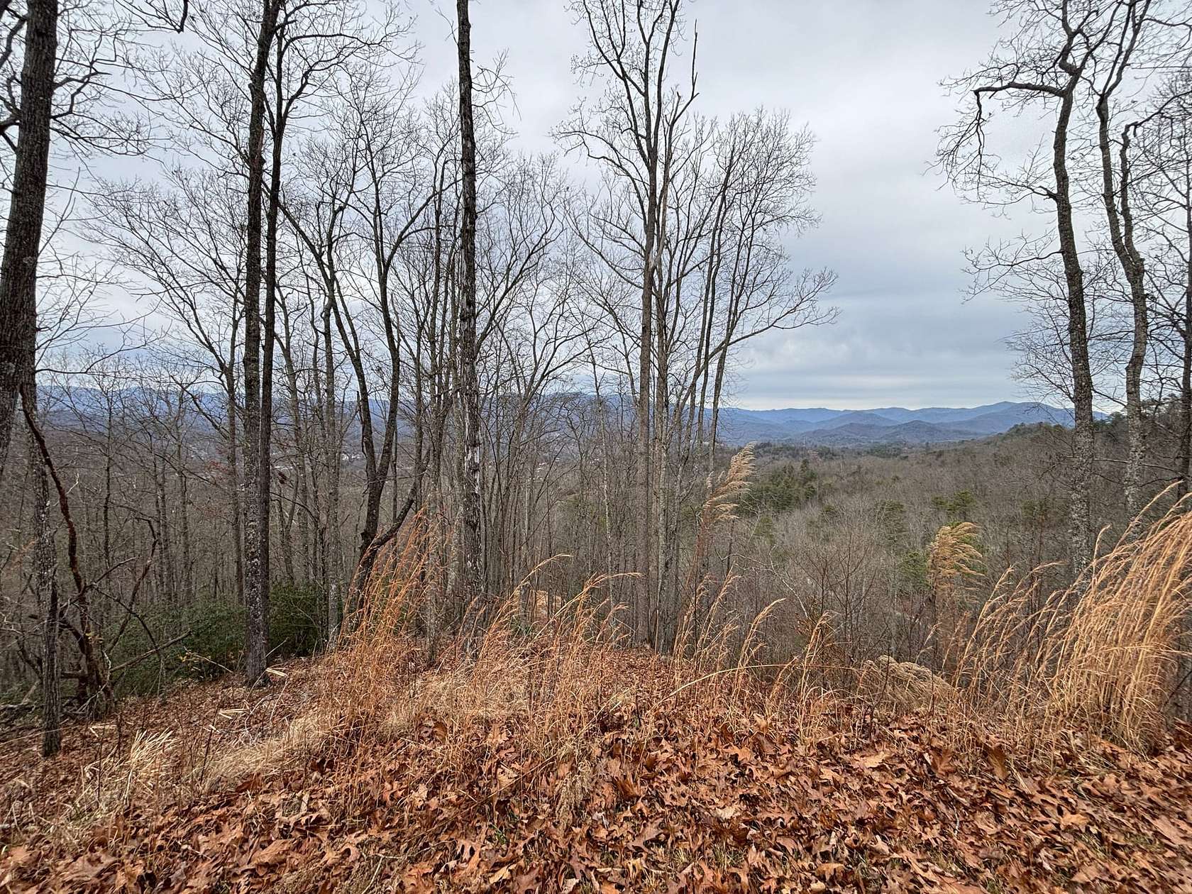 4 Acres of Residential Land for Sale in Bryson City, North Carolina