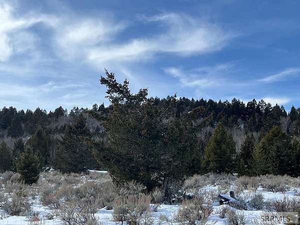 3.2 Acres of Land for Sale in Tetonia, Idaho