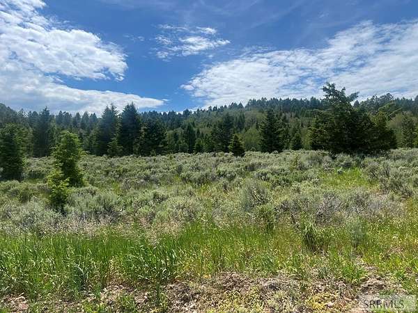 3.2 Acres of Residential Land for Sale in Tetonia, Idaho
