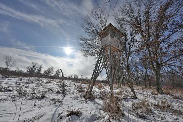 160 Acres of Recreational Land & Farm for Sale in Nekoosa, Wisconsin