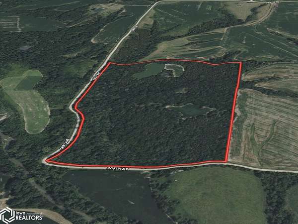 59.1 Acres of Recreational Land & Farm for Sale in Cantril, Iowa