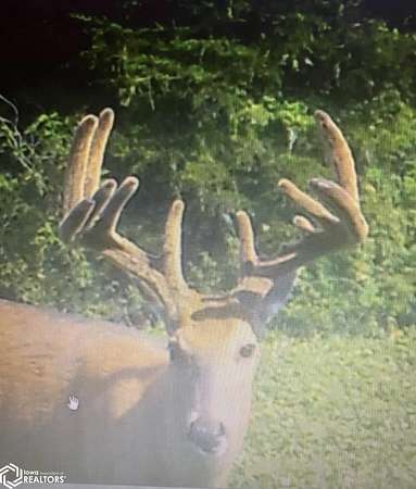 59.1 Acres of Recreational Land for Sale in Cantril, Iowa